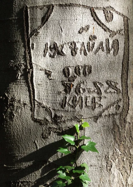 Старый Деревянный Фон Словом Люблю Тебя — стоковое фото