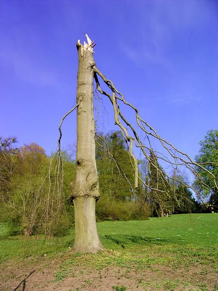 Pittoresk Uitzicht Landschap — Stockfoto