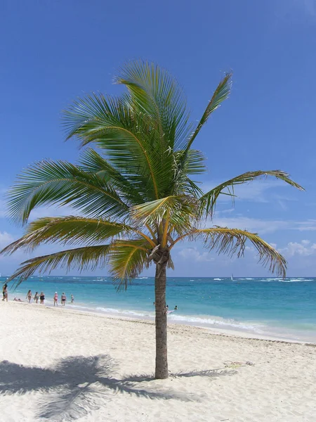 Vista Panorámica Playa Ensueño — Foto de Stock