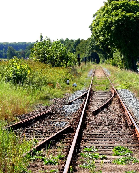 Udane Ustawienie Kursu — Zdjęcie stockowe