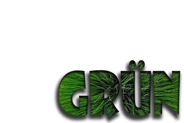 Зеленое Травяное Слово Словами Любовь Белом Фоне — стоковое фото