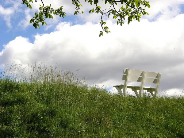 Lege Stoelen Groen Gras Het Strand — Stockfoto