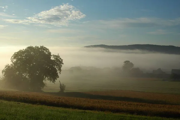 Pittoresk Utsikt Över Naturen — Stockfoto