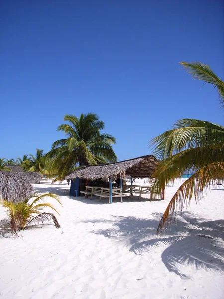 Praia Caribe Vista Durante Dia — Fotografia de Stock