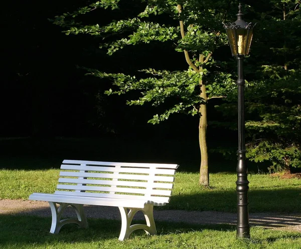 Evening Park Alone — Stock Photo, Image