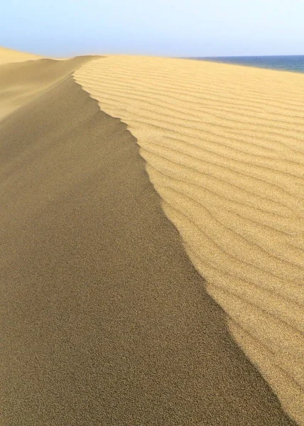 Vue Panoramique Des Dunes Mise Point Sélective — Photo