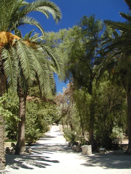 Vue Sur Tunis — Photo