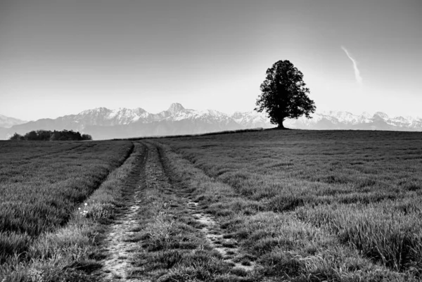 Malerischer Blick Auf Die Majestätische Alpenlandschaft — Stockfoto