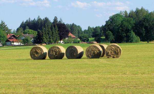 Campo Agrícola Com Fardos Palha — Fotografia de Stock