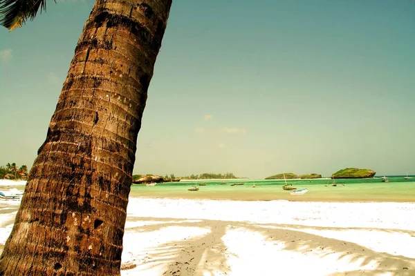 Tropischer Strand Mit Palmen Und Blauem Himmel — Stockfoto