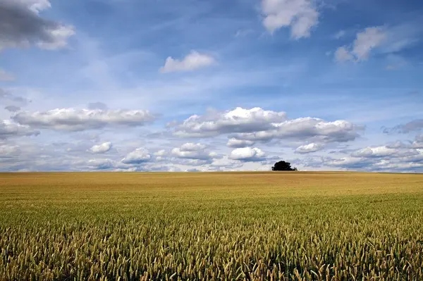 Todo Mundo Tiene Mismo Cielo Pero Mismo Horizonte — Foto de Stock