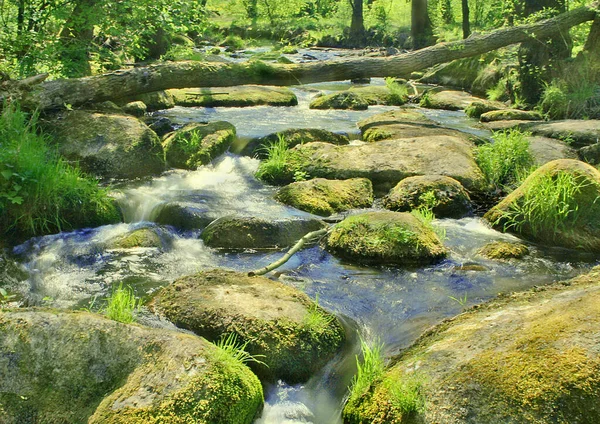 Klippor Bäcken — Stockfoto