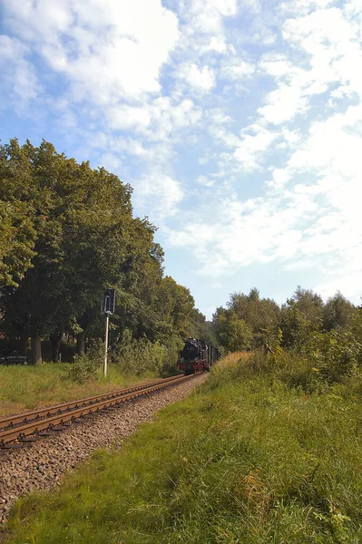 Utsikt Över Park Våren — Stockfoto