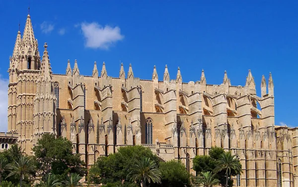 Catedral Seu Palma — Foto de Stock