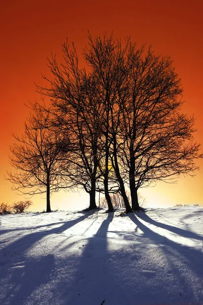 Schöne Aussicht Auf Die Winterlandschaft — Stockfoto