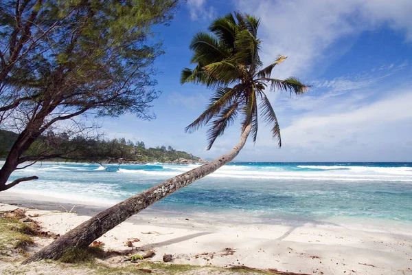 Anse Cocos Digue Seychelles Pentax K100D 14Mm F11 Filtro Poste — Foto de Stock