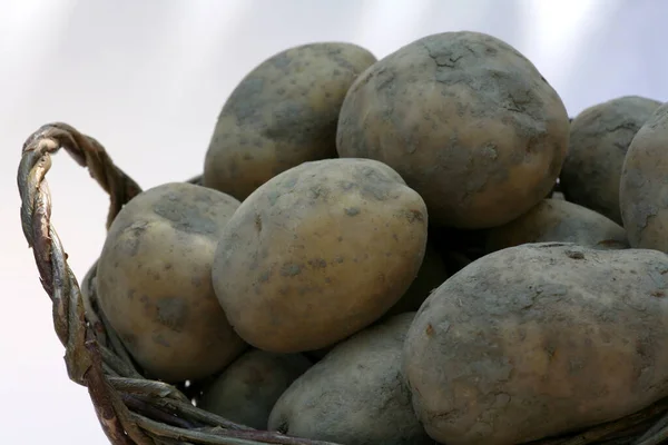 Vegetais Conceito Comida Batatas — Fotografia de Stock