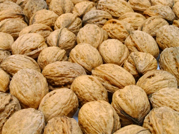 Braune Nüsse Walnüsse Snack — Stockfoto