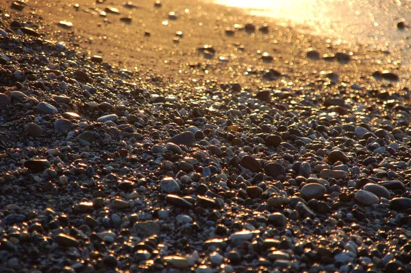 Pebbles Sol Noite — Fotografia de Stock