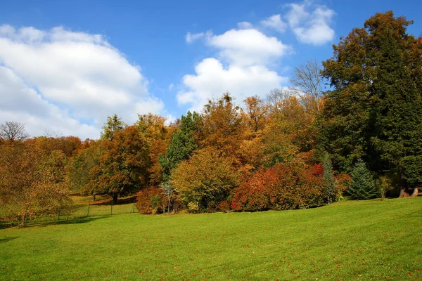 Vacker Utsikt Över Naturen — Stockfoto