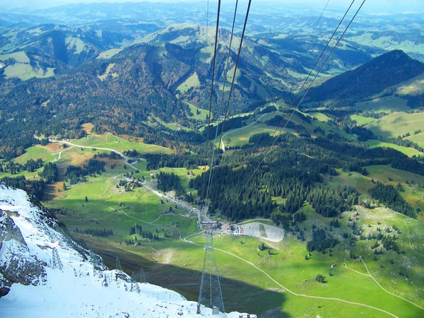 Prato Habitat Aperto Campo Vegetato Erba Erbe Altre Piante Non — Foto Stock