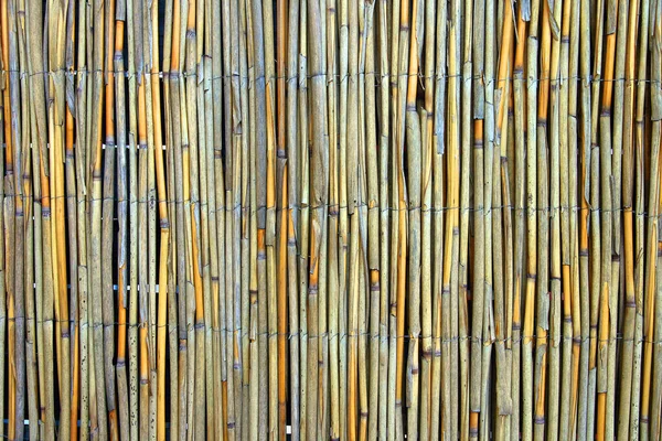 Fundo Textura Bambu Abstrato — Fotografia de Stock