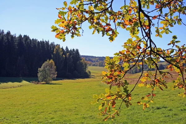Herfstlandschap Beieren — Stockfoto