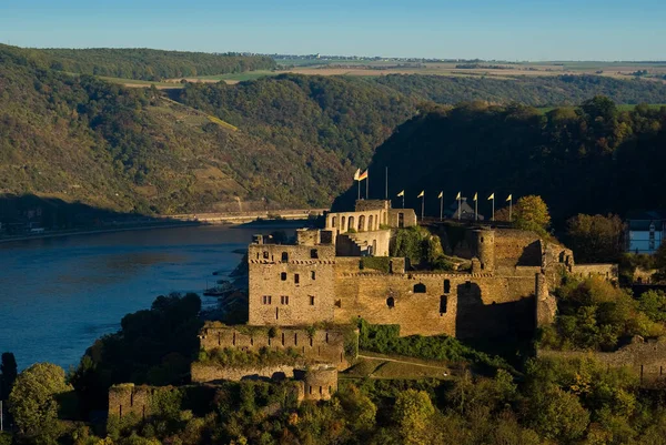 Rheinfels Kastély Goar Rajna Vidék Pfalz Németország — Stock Fotó