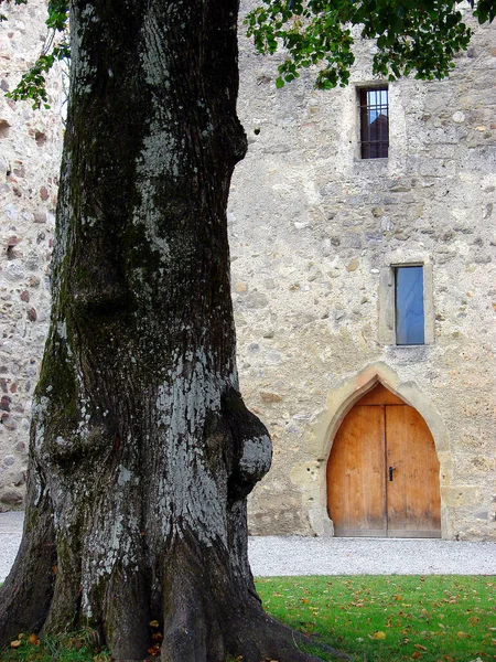 Velha Porta Madeira Castelo — Fotografia de Stock