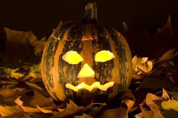 Halloween Tök Levelek Fekete Háttér — Stock Fotó