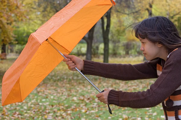 Niña Con Paraguas Parque — Foto de Stock