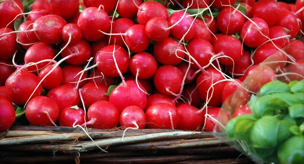 Färska Rädisor Marknaden — Stockfoto