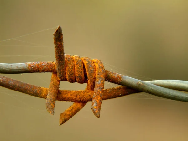 Roestige Metalen Pijp Met Een Touw — Stockfoto