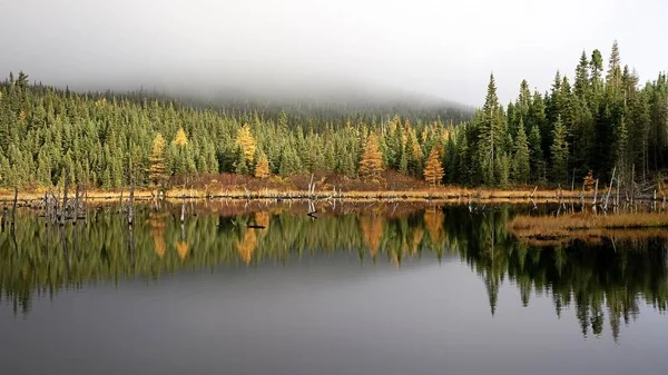 Bella Vista Della Scena Della Natura — Foto Stock