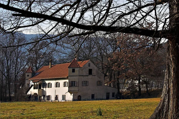 Stary Drewniany Kościół Parku — Zdjęcie stockowe