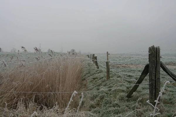 Blick Auf Eine Winterszene — Stockfoto