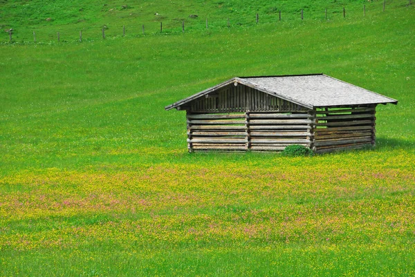 Pohled Alpy Nejvyšší Nejrozsáhlejší Hory — Stock fotografie