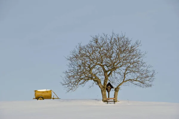 Uitzicht Een Winterse Scène — Stockfoto