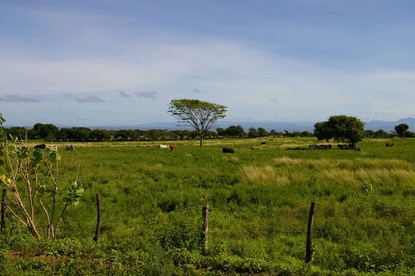 Meseta Volcánica Hierro — Foto de Stock