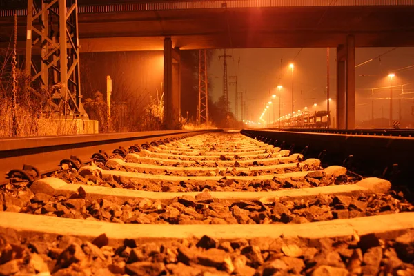 Ferrovie Ferroviarie Dal Punto Vista Una Rana — Foto Stock