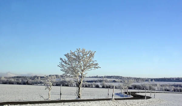 Strasse Través Del Invierno — Foto de Stock