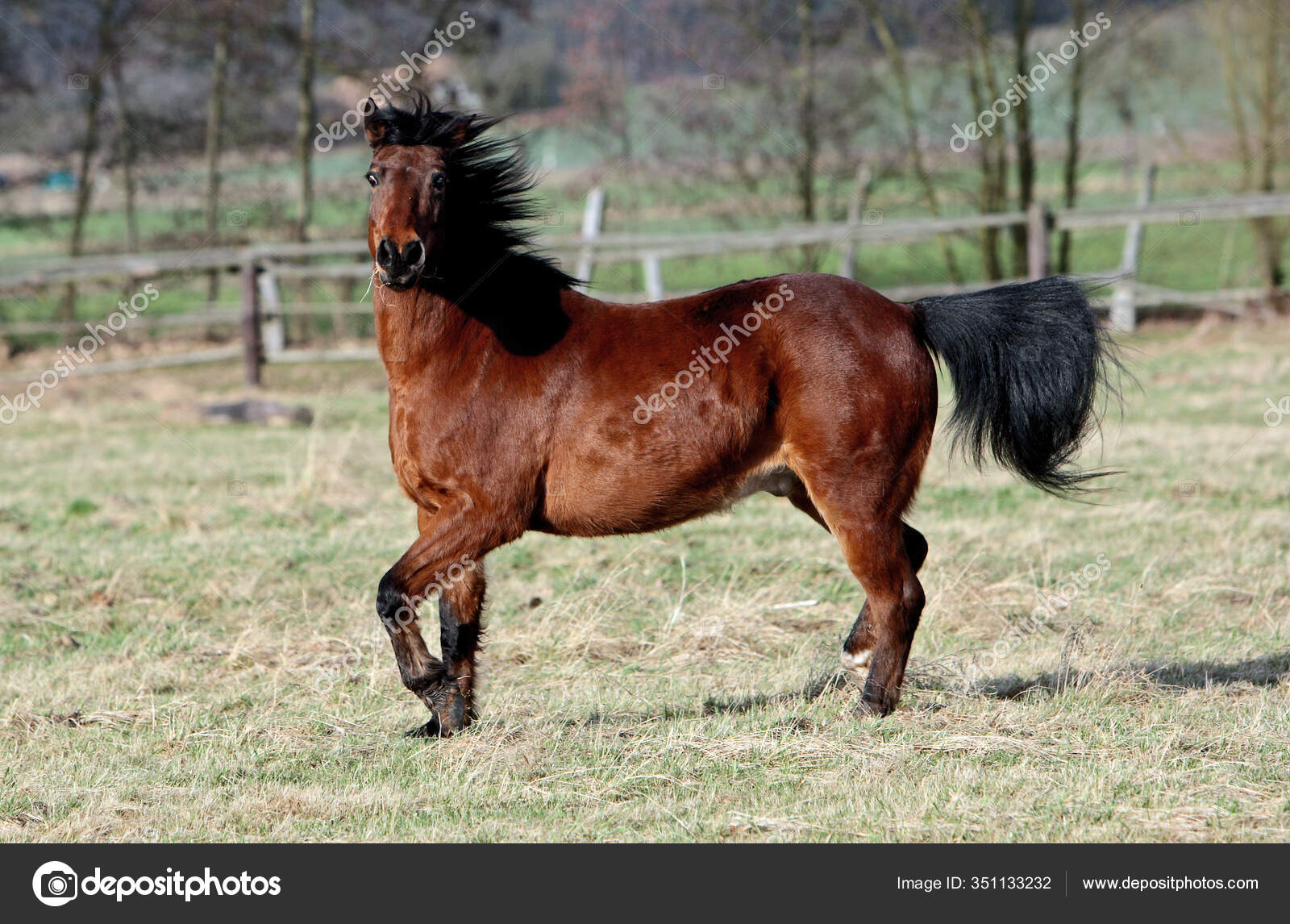 Storie Di Cavalli E Di Uomini Trailer Ita Youtube