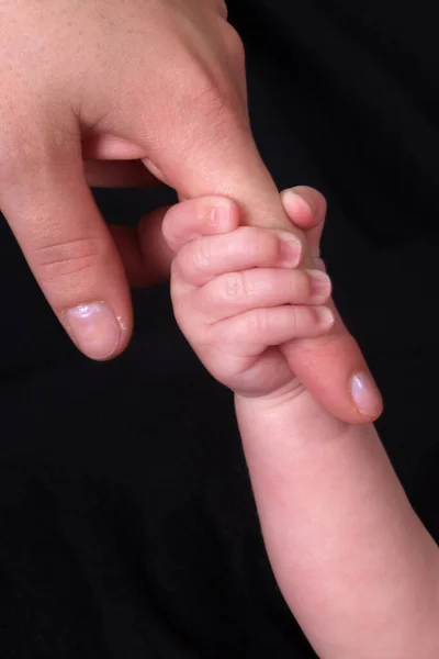 Baby Hand Håller Vuxen Finger — Stockfoto