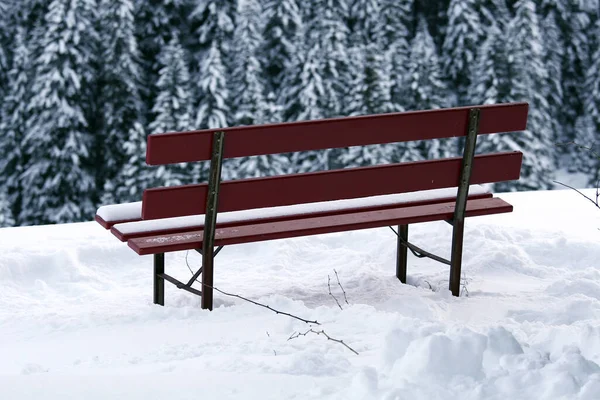 雪の中でレッドバンクだけで — ストック写真