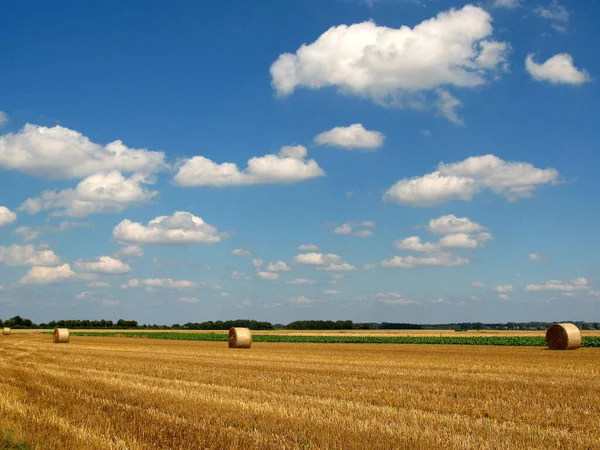 Hamarosan Újra Itt Idő — Stock Fotó