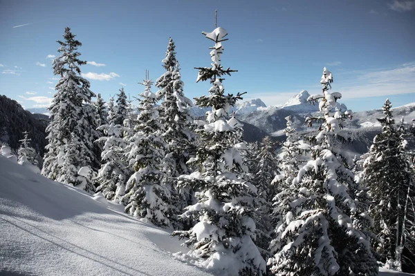 Vista Tirol Sul Alto Adige Uma Província Nordeste Itália — Fotografia de Stock