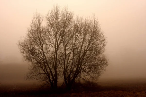 Schöne Aussicht Auf Die Natur — Stockfoto