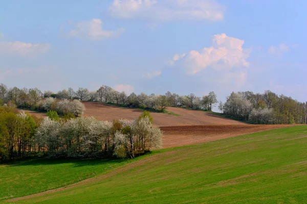 Bela Vista Paisagem Primavera — Fotografia de Stock