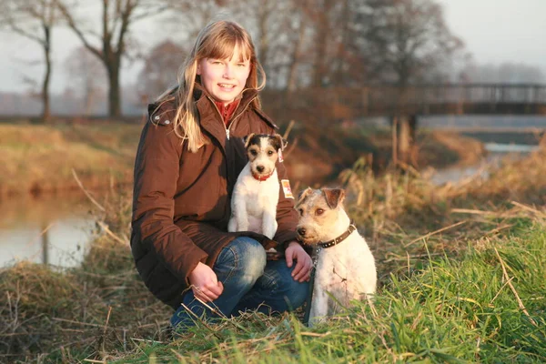 Mädchen Mit Zwei Hunden — Stockfoto