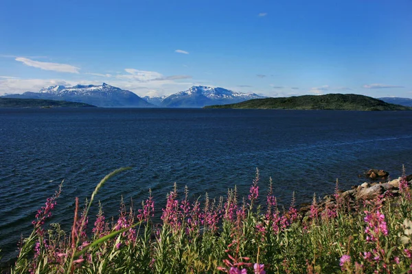 Vue Sur Fjord — Photo